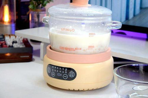 一机多用，暖心滋养 七彩叮当全玻璃调奶器上手体验